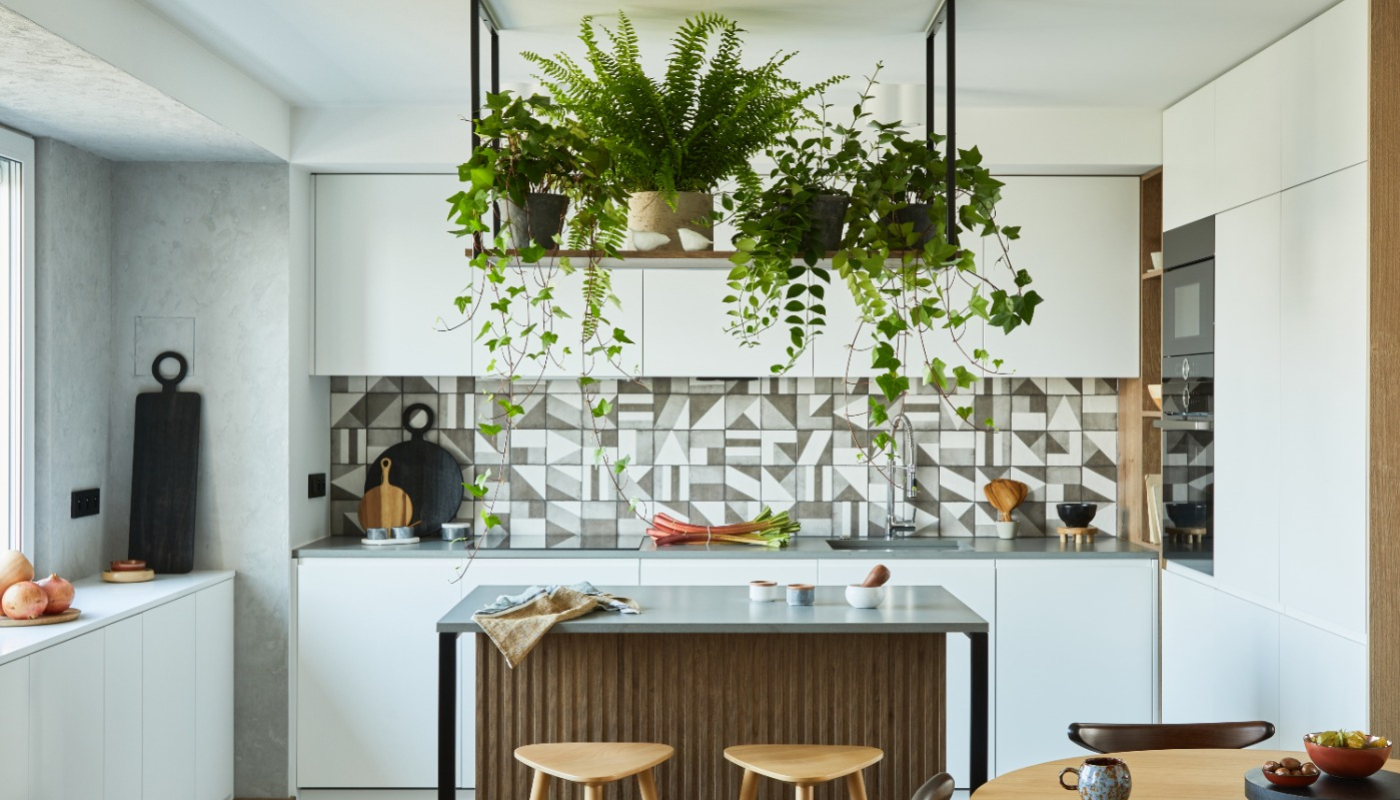 Diseña y crea un jardín botánico en casa